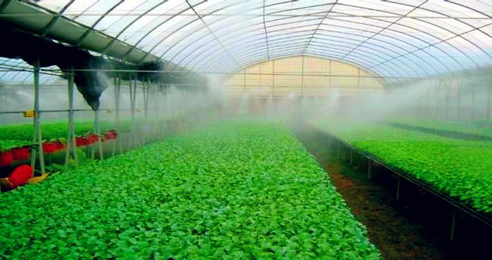 雾化喷嘴加湿降温功能在蔬菜大棚的应用